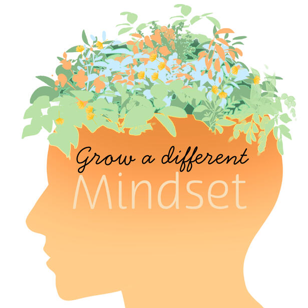 SM Post + Illustration